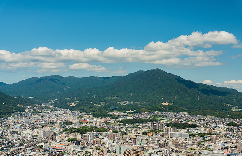 地元に特化した売却サポート